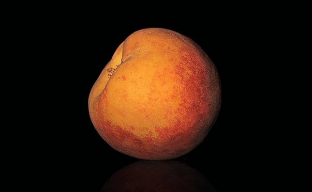 review: the membranes