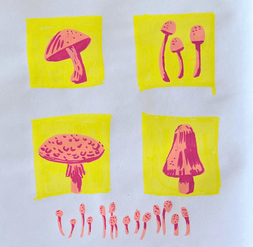 mushroom studies