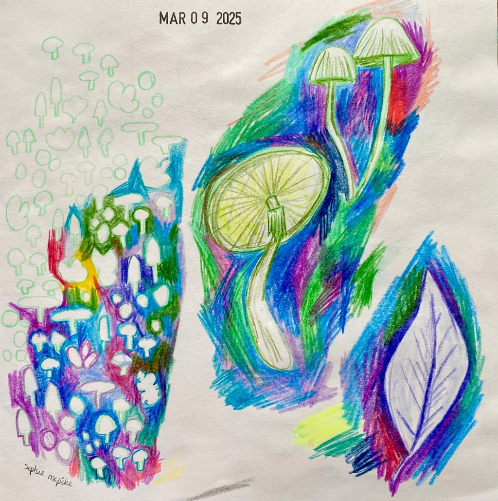 aotd 2025.03.09 –&nbsp;mushrooms